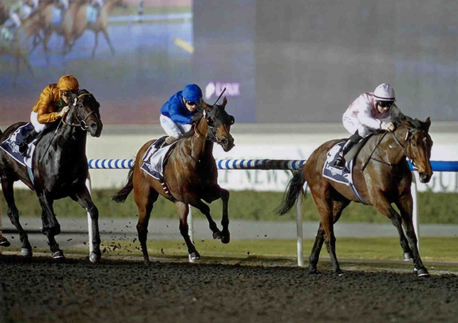 LILY'S ANGEL - Winning at the opening of the Dubai International Carnival - Meydan Raceourse 10th Jan 2013